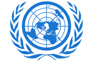 United Nations & Eagle Security